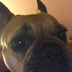 Meet your Posher, Carrie